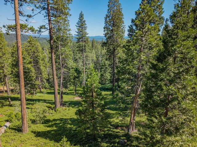 3076 Forest Ln, Arnold, CA 95223