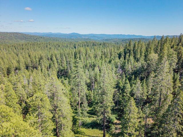 3076 Forest Ln, Arnold, CA 95223
