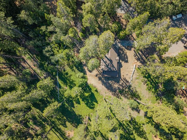 3076 Forest Ln, Arnold, CA 95223