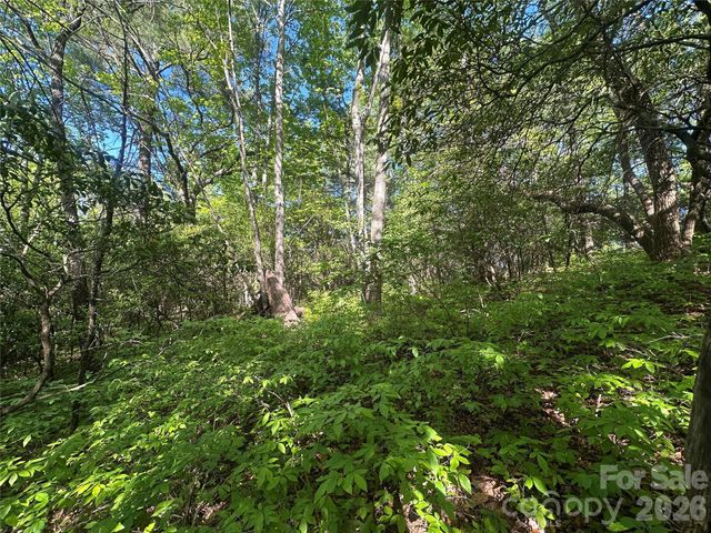 RR 17 Lakeside Drive, Lake Toxaway, NC 28747