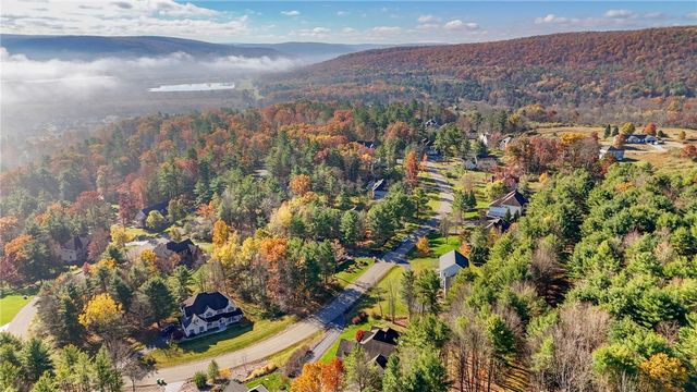 3038 South Oakwood Drive, Erwin, NY 14870