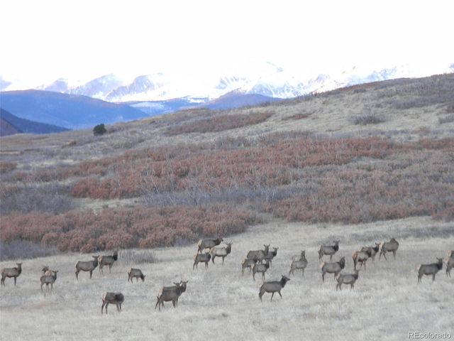 421 Terrace Trail, La Veta, CO 81055