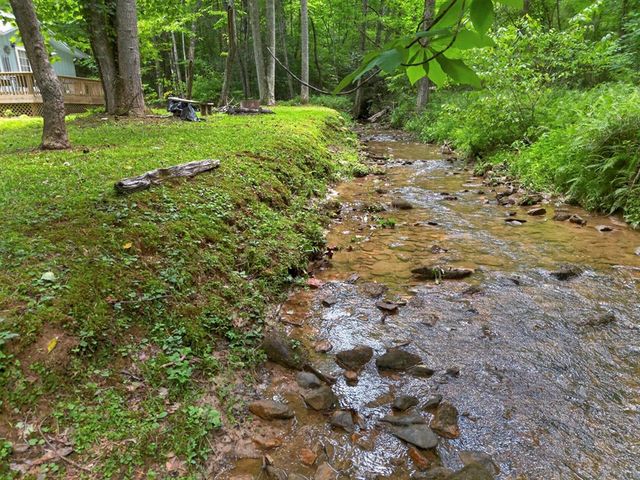 595 Timberlake Road, Blue Ridge, GA 30513