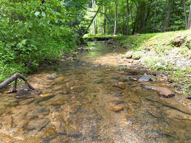 595 Timberlake Road, Blue Ridge, GA 30513