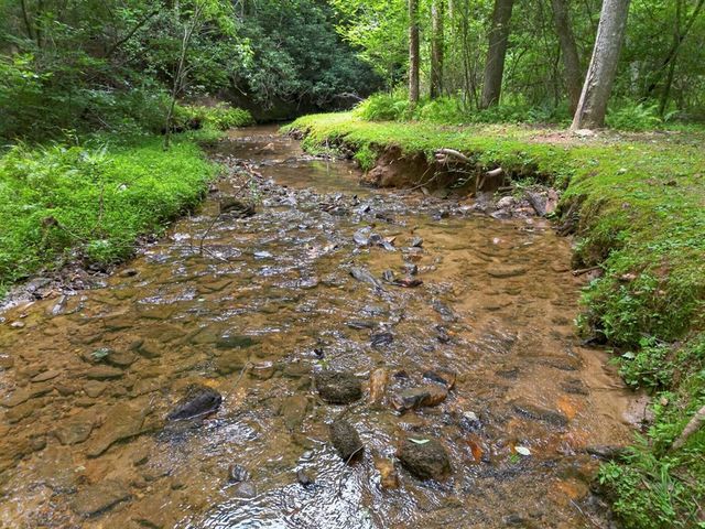 595 Timberlake Road, Blue Ridge, GA 30513
