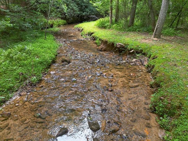 595 Timberlake Road, Blue Ridge, GA 30513