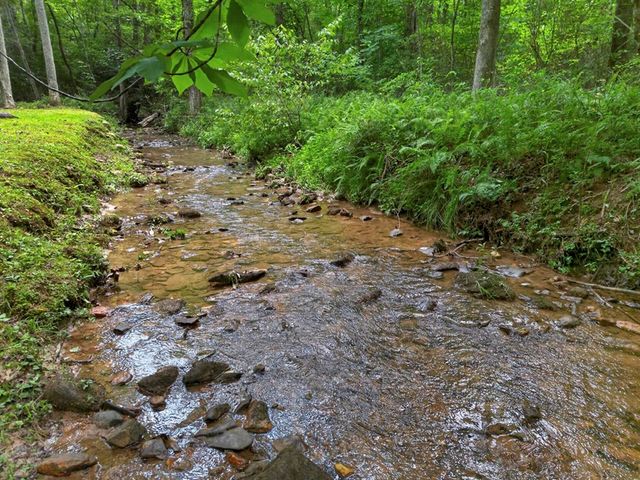 595 Timberlake Road, Blue Ridge, GA 30513