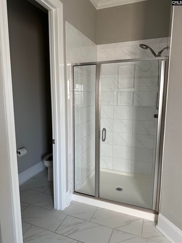 2019 Ludlow Place, Chapin, SC 29036