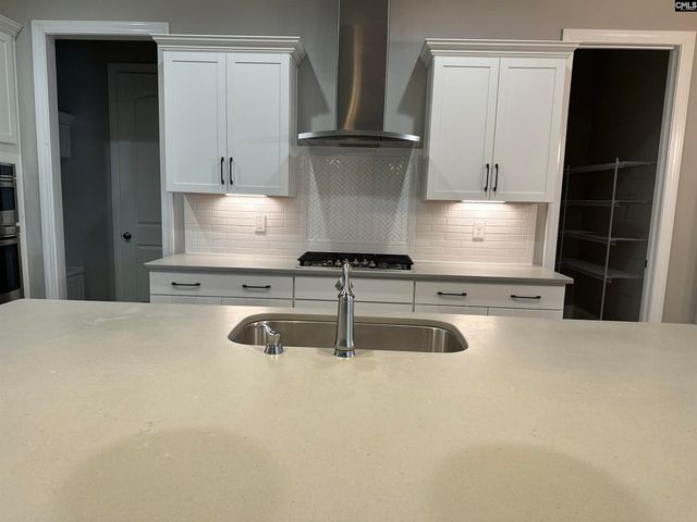 2019 Ludlow Place, Chapin, SC 29036