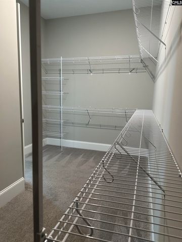 2019 Ludlow Place, Chapin, SC 29036