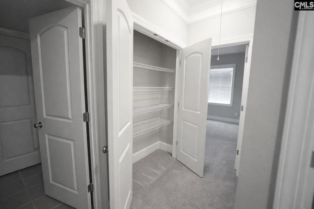 2019 Ludlow Place, Chapin, SC 29036