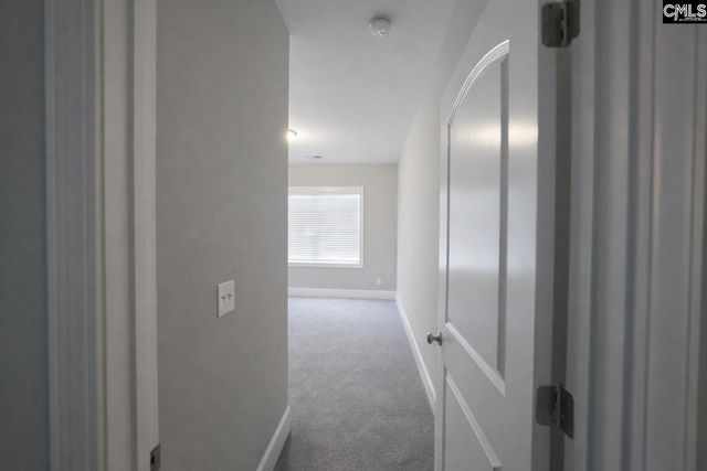 2019 Ludlow Place, Chapin, SC 29036