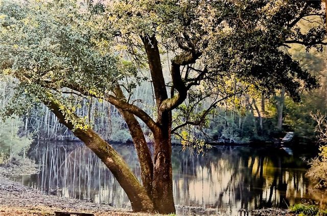 5269 Dawes Road, Grand Bay, AL 36541