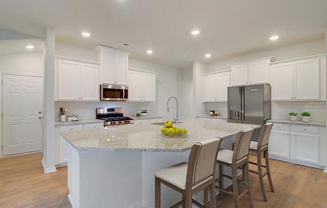 1060 Lettered Olive Lane, Summerville, SC 29485