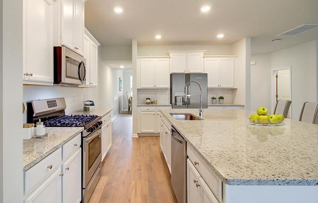 1060 Lettered Olive Lane, Summerville, SC 29485