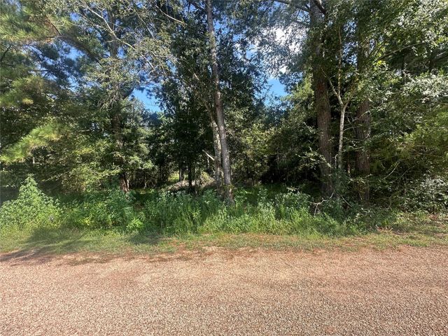 26546 Pin Oak Drive, Hempstead, TX 77445