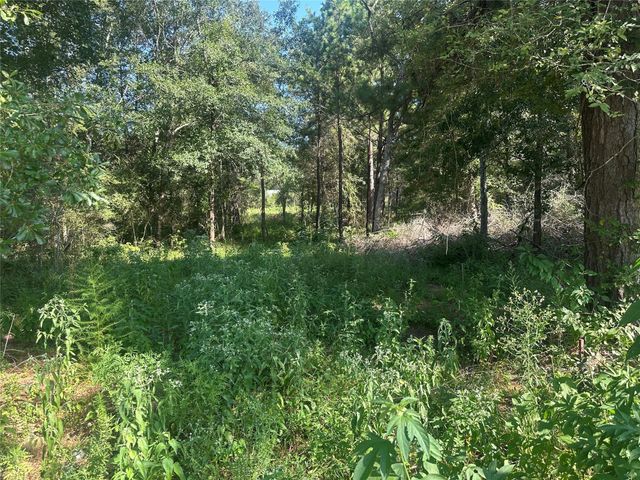 26546 Pin Oak Drive, Hempstead, TX 77445