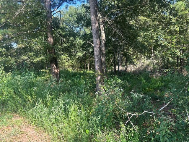 26546 Pin Oak Drive, Hempstead, TX 77445