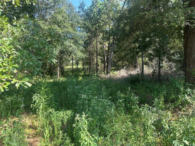 26546 Pin Oak Drive, Hempstead, TX 77445