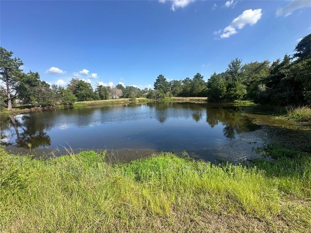 26546 Pin Oak Drive, Hempstead, TX 77445