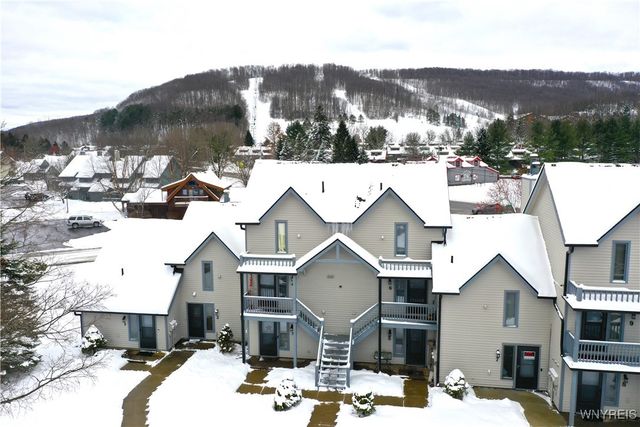 5 Wildflower Apts, Ellicottville, NY 14731