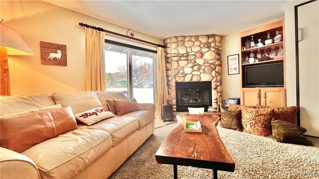 5 Wildflower Apts, Ellicottville, NY 14731