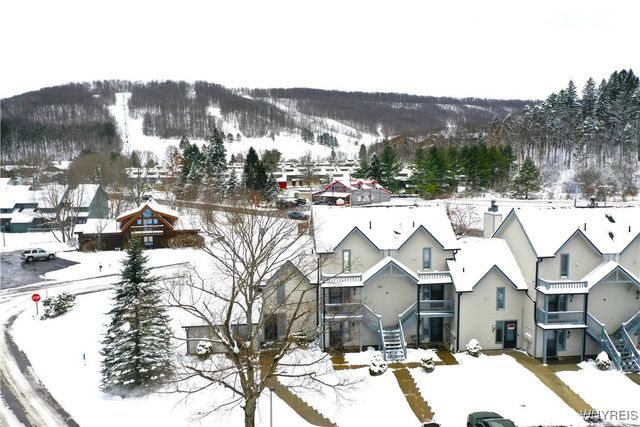 5 Wildflower Apts, Ellicottville, NY 14731