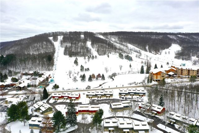 5 Wildflower Apts, Ellicottville, NY 14731