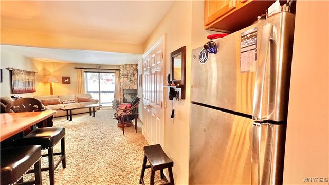 5 Wildflower Apts, Ellicottville, NY 14731