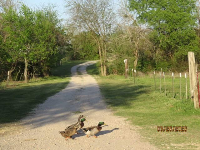 1780 County Road 4109, Campbell, TX 75422