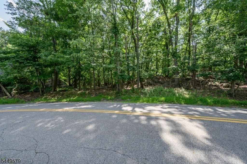 782 Brooklyn Mountain Rd, Hopatcong Boro, NJ 07843 — exterior