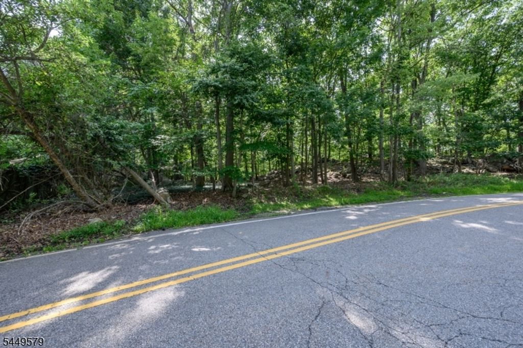 782 Brooklyn Mountain Rd, Hopatcong Boro, NJ 07843 — photo 2