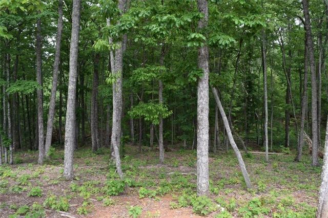 Lot 28 High Summit Drive, Talking Rock, GA 30175