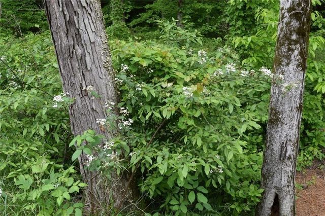 Lot 28 High Summit Drive, Talking Rock, GA 30175