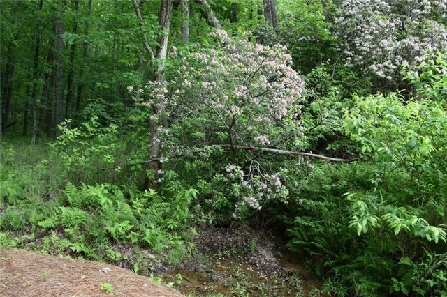 Lot 28 High Summit Drive, Talking Rock, GA 30175