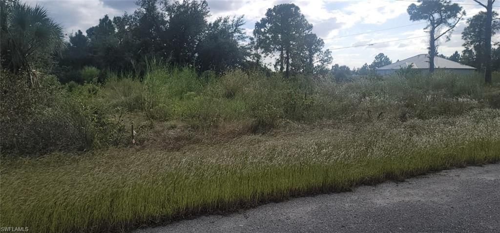 4204 19th ST, LEHIGH ACRES, FL 33972 — photo 2