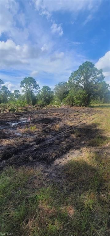4204 19th ST, LEHIGH ACRES, FL 33972 — photo 3