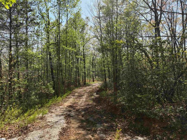45 Emerald Crest Lane, Cleveland, SC 29635