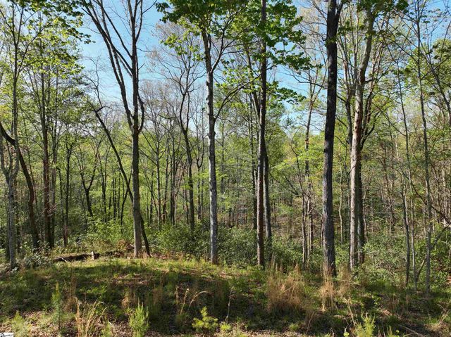 45 Emerald Crest Lane, Cleveland, SC 29635
