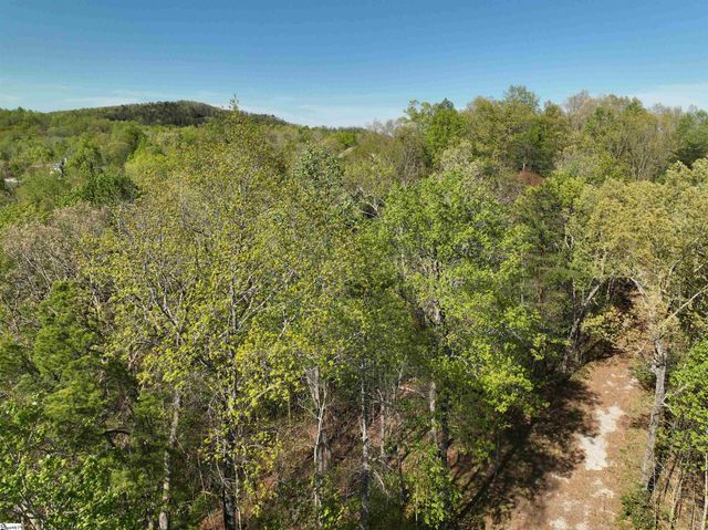 45 Emerald Crest Lane, Cleveland, SC 29635