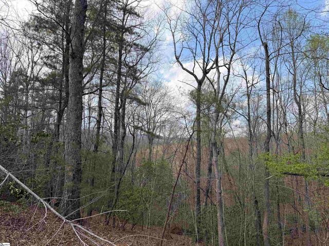 45 Emerald Crest Lane, Cleveland, SC 29635