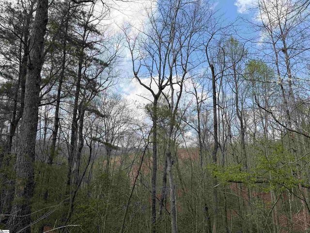 45 Emerald Crest Lane, Cleveland, SC 29635