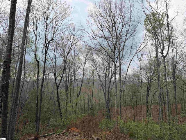 45 Emerald Crest Lane, Cleveland, SC 29635