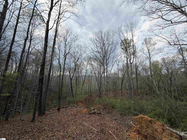 45 Emerald Crest Lane, Cleveland, SC 29635