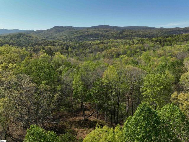 45 Emerald Crest Lane, Cleveland, SC 29635