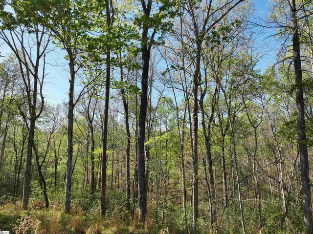45 Emerald Crest Lane, Cleveland, SC 29635