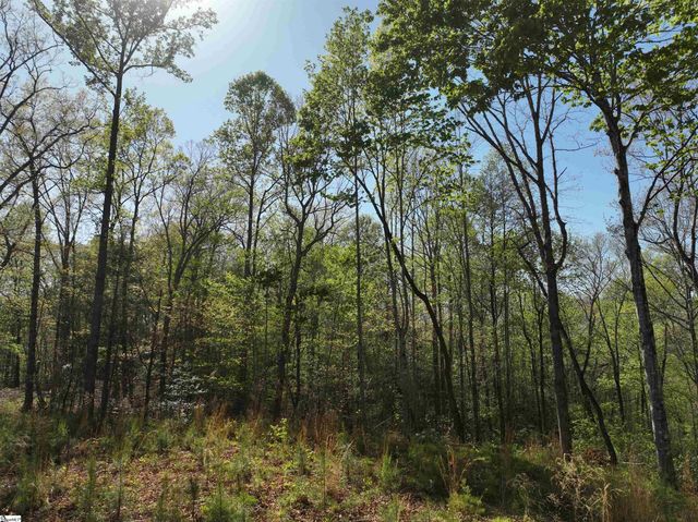 45 Emerald Crest Lane, Cleveland, SC 29635
