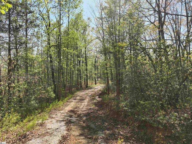 45 Emerald Crest Lane, Cleveland, SC 29635