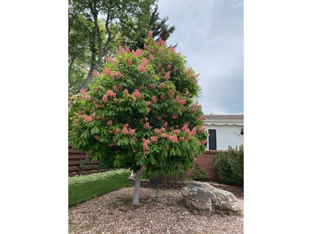 3255 20th St, Boulder, CO 80304