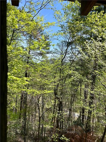 107 Brendart Hill Road, Sunset, SC 29685